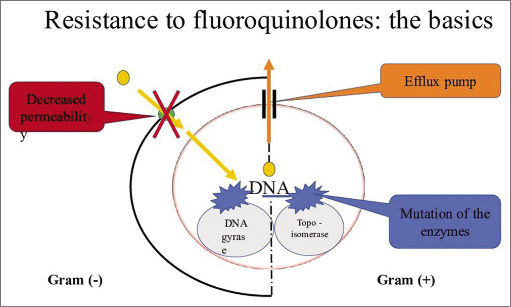 Resistance to fluoroquinolone.