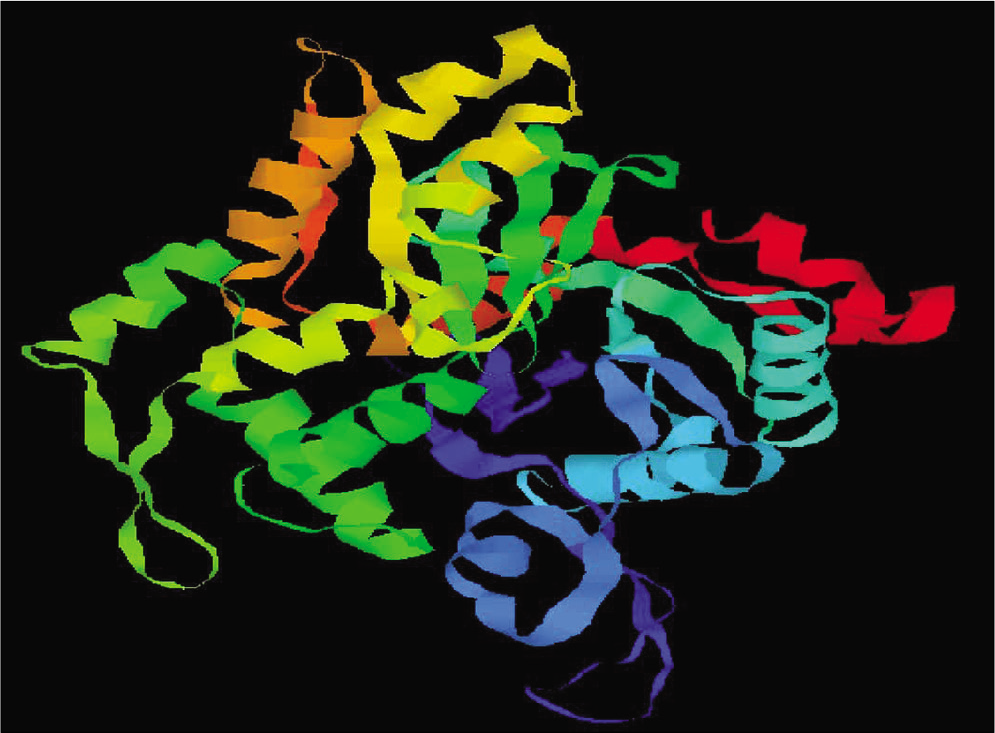 Representation of modeled actin protein image of Leishmania donovani.