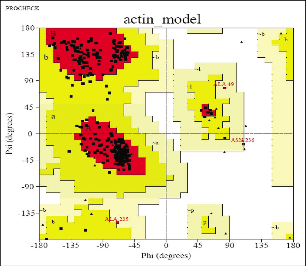 Ramachandran Plot.