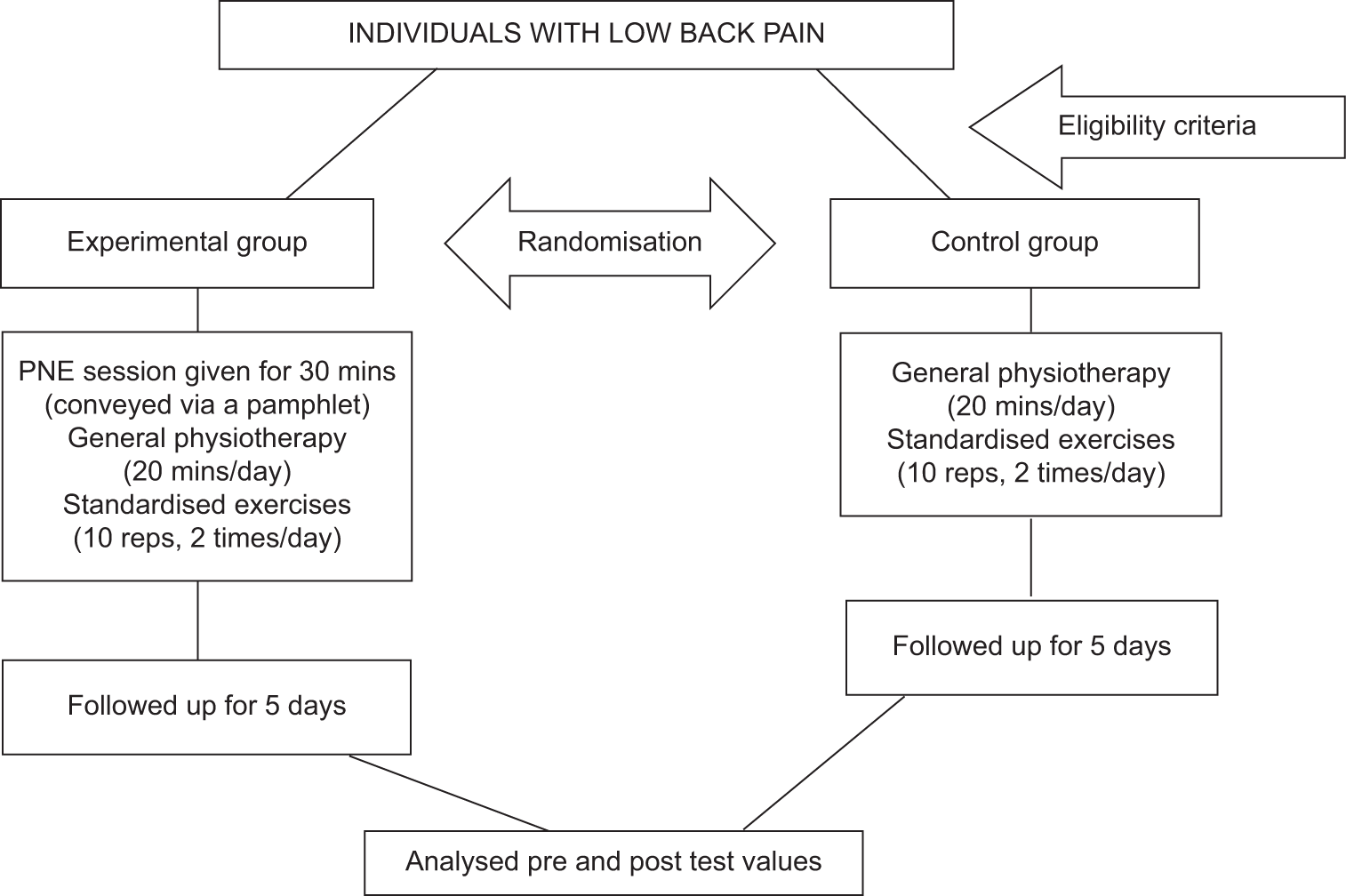 Consolidated standards of reporting trials flowchart. PNE: Pain neuroscience education,